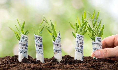 6 lições que se podem aprender com as startups