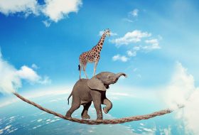 Trust organizations – Quando é a confiança que move a organização